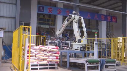 年產值10億元！湖北丹富仕飼料項目建成投產，為畜牧養殖注入強勁動力